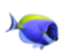 Aquarium in Los Angeles